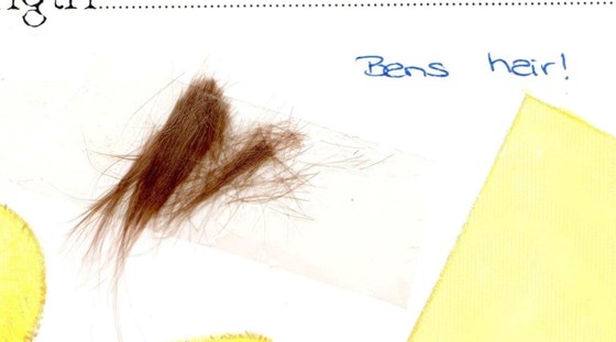 A lock of Ben's hair taken on his first birthday