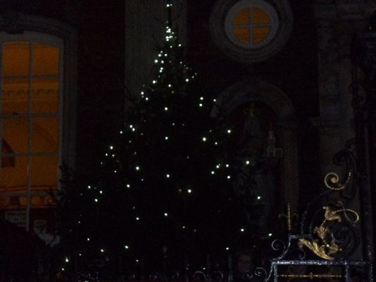 Starlight Tree at the Guildhall