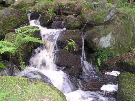 A brook in Yorkshire.