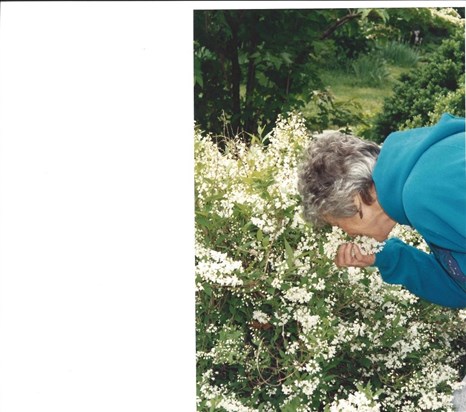 Barbara - smelling and enjoying the flowers