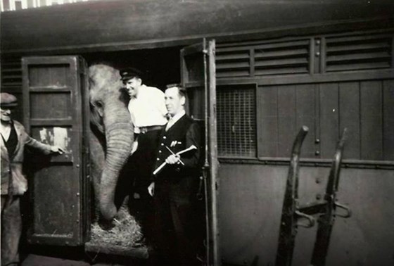Circus Train 