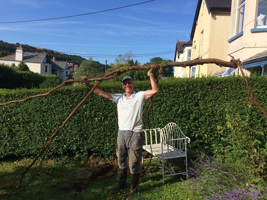 South Brent, July 2017: Andy vanquishes our ever expanding cherry tree root!
