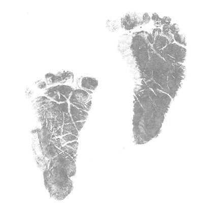 Freddie's Footprints