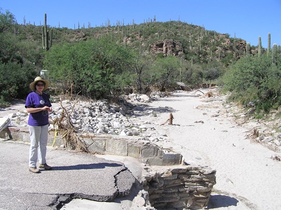 Karolyn at Sabino Canyon Cleanup after the big flood washed out the bridges.