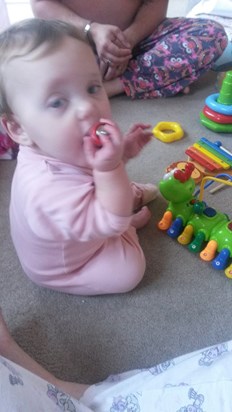 Skye having more fun with a battery than her toys. xx