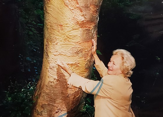 Hugging a tree!!!!