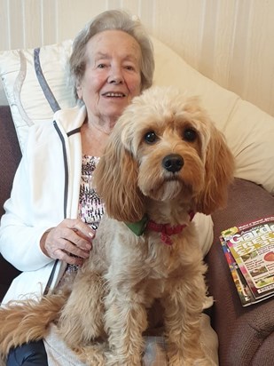 Red the dog having a much loved cuddle with Pamela 