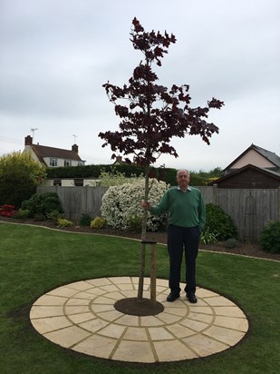 So proud of his tree