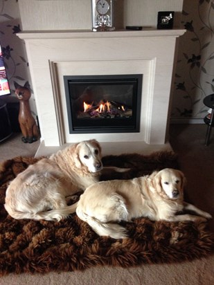 Your 2 girls doing what they like doing best.Keeping warm.xx