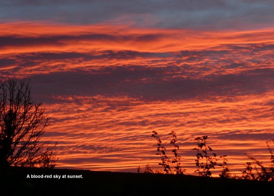 'A blood-red sky at sunset'.