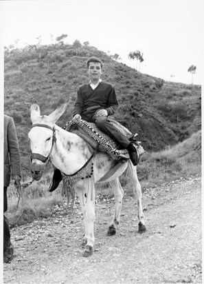 Martin & Donkey 1962