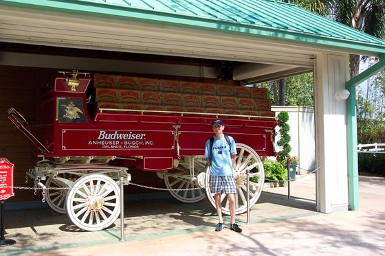 Budweiser truck in Florida!