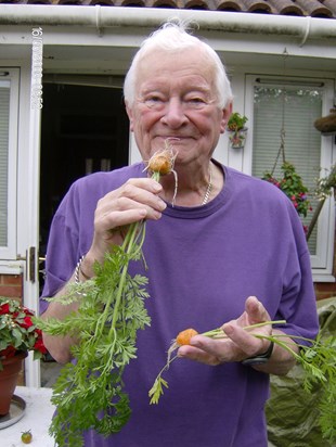 Home grown carrots (2008)