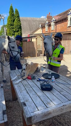 Visiting the local pub with the best four legs friends 🥰