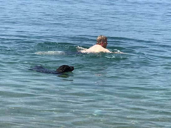 Swimming with Tarka, Hive Beach