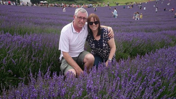 Lavender fields, such a lovely day x