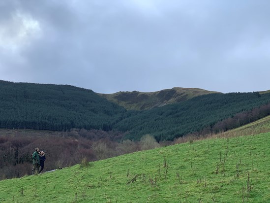 Dyfi Falls - 12/12/21