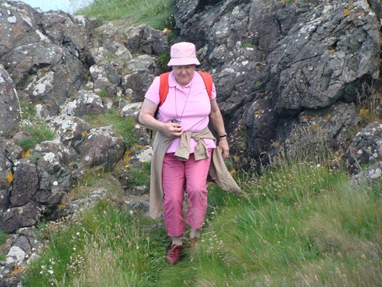 Walking in Wales June 2009