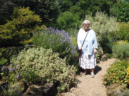 Chelsea Physic Garden June 2018