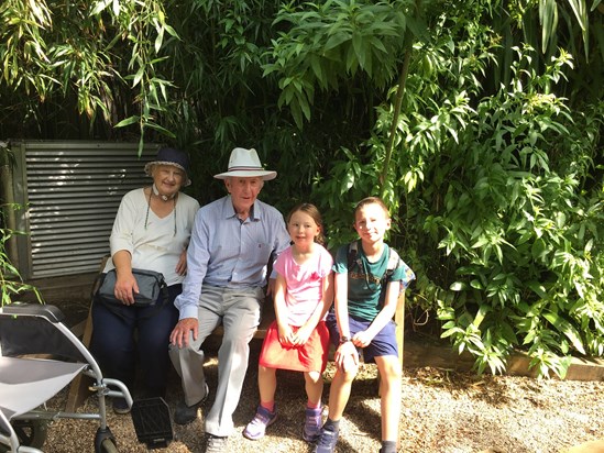 Butterfly Farm at Buckfastleigh.  19 July 2023