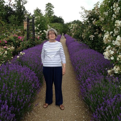 Mary in Lavender Walk at Four Seasons Dogmersfield