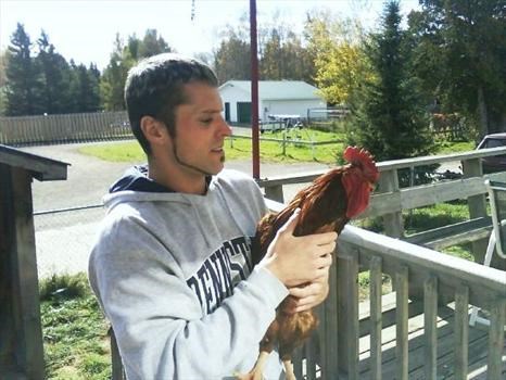 Stew and the Rooster