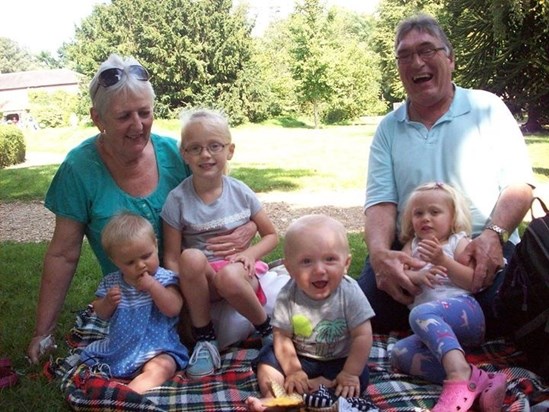 picnic with the grandchildren