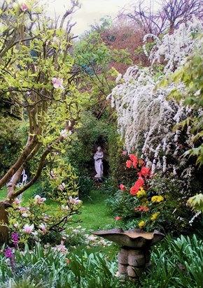 Eileen's garden in Spring