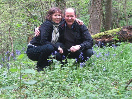 image Jackie loved the bluebell woods!