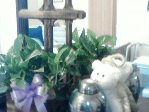 My Wife Ashes in the urn ...... That sits on my dresser