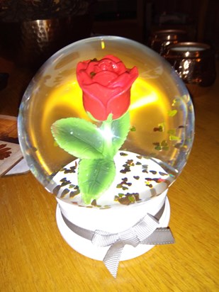 A rose for my precious husband always my Valentine. Love you for ever xxxx