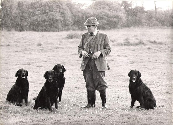 Peter with his working flatcoats