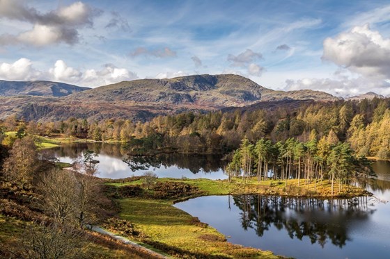 Tarn Hows- Jeff`s Final resting place. To be confirmed.