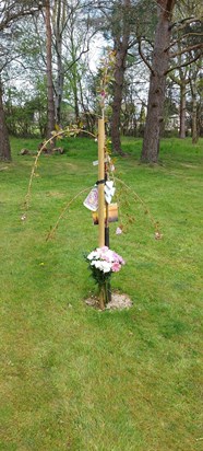 Can't believe it's been a year we were all together celebrating your life this tree is your memorial forever. All my love forever Sandra 💕 xxx
