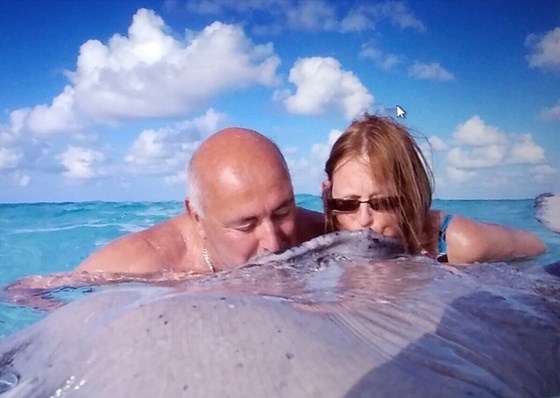you got your chance to swim with the stingrays, and no better place than the Cayman Islands x
