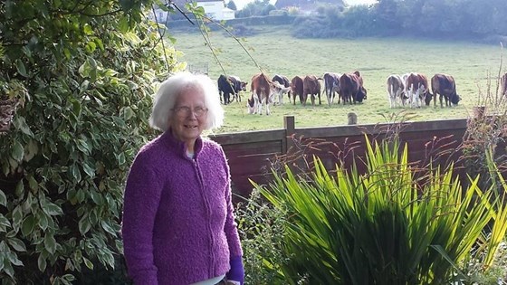 Dorothy and the Mabett’s cows in the field behind her house 