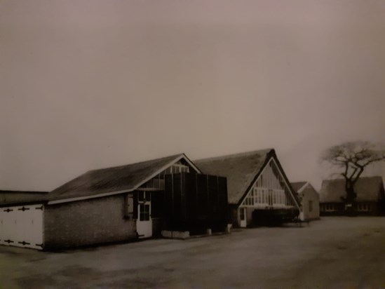 The main building is of the packing shed for Rosedale Nursery with cooling sheds on either side. Behind the tree is the Mess Room that Rose was in charge of. The chicken food was stored behind the white doors to the left of the photo