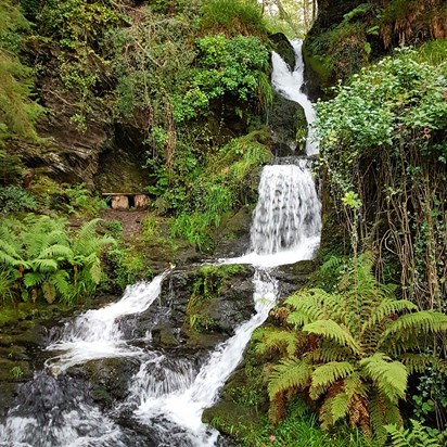 PETFORD Waterfall