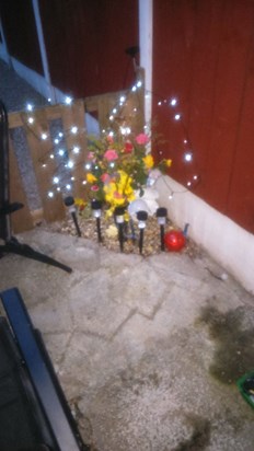My Alfie Boys memorial in our garden xxxxxxxx