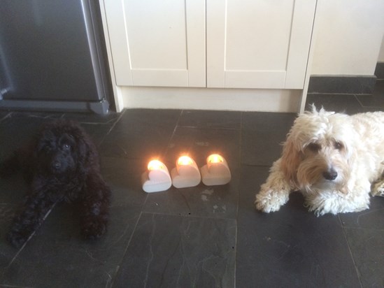 Birthday candles lit from your no1 fans xxx