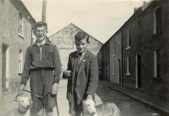 Jim and Noel with the greyhounds