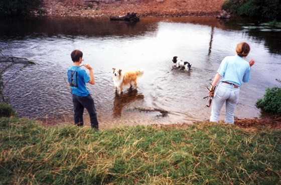 Becky and Duncan with Poppet and Teg in the River Culm in Cullompton.