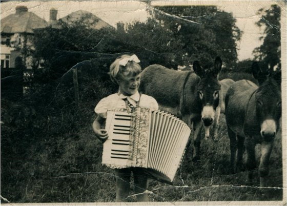 Donkey Serenade