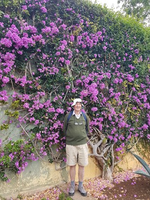 The Botanical Gardens, Monte, Madeira, 29 June, 2019