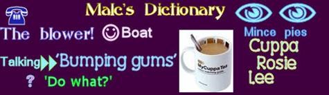 Malc's Dictionary!