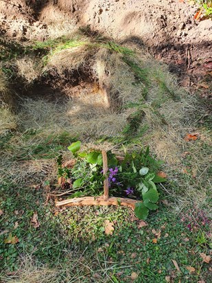 Foliage to decorate Poppy's basket 