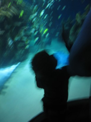 Lisa loved the Aquarium