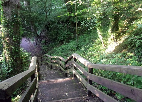  William's Path along the rushing stream - Hamilton, July 9, 2014