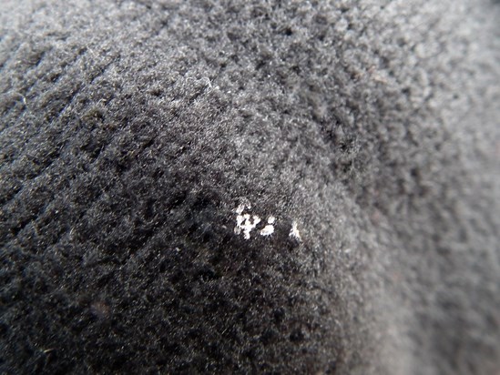 Snowflakes on my coat sleeve - January 30, 2015