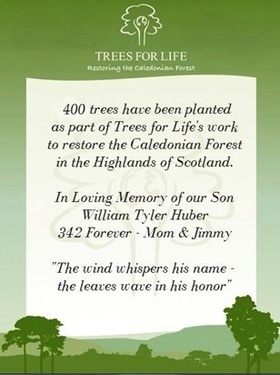 400 Trees for William in the Scottish Highlands! 